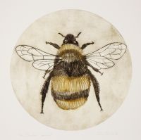 Näitus "Suvised rännakud" oktoober 2019