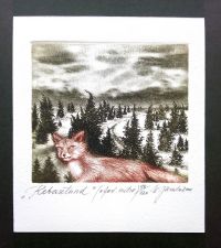 Rebasetund, ofort 2000 10 x 11 cm 34€