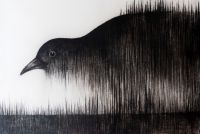 Vihm süsi,kriit 2019