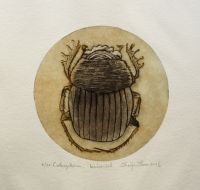 "Caleoptera", kuivnõel 15 x15 cm 49€