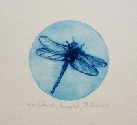 "Odonata", kuivnõel 8 x 8 cm 29€