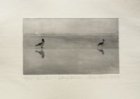 "Nimetu" fotopolümeer, 15 x 10 cm 39€