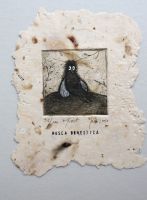 "Musca domestica" ofort 2010, 20€