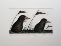 "Tuuline" ofort 2008, 69€