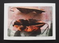 Etüüd, digiprint  98€