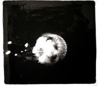 Etüüd, digiprint , 98€