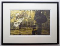 "Metsa puudutus"I raamis, 39 x 51,5 cm 235€