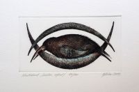 "Kaitstud" ofort 2004, 69€