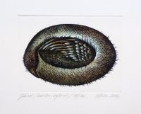 "Järv" ofort 2006, 69€