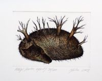 "Mägi" ofort 2004, 69€