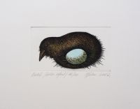 "Ootel" ofort 2006, 69€