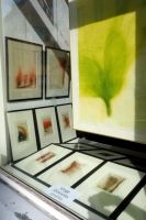 näitus juuni-juuli 2018