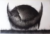 Kuukoer süsi, must kriit 2016