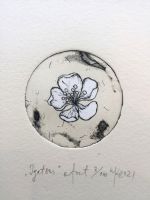 "Igatsus" ofort 2021, läbimõõt 6,5 cm, 29,90€